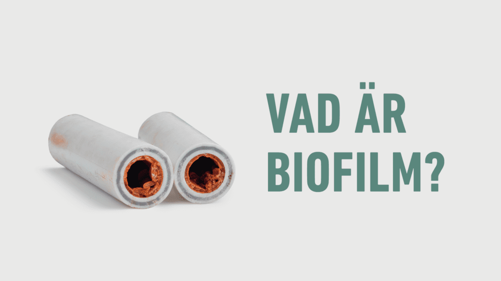 Vad är biofilm