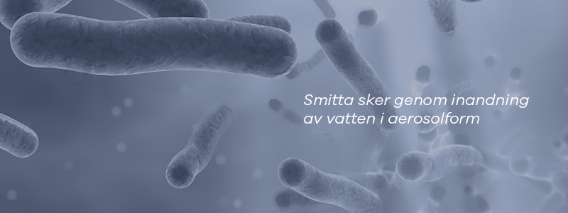 Legionella smittar genom aerosoler