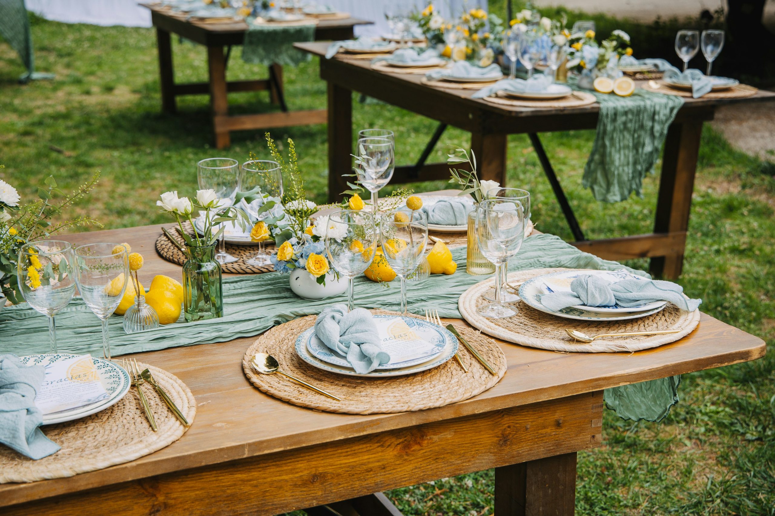 Bordopstilling med tallerkener, glas og service til sommerfest og event