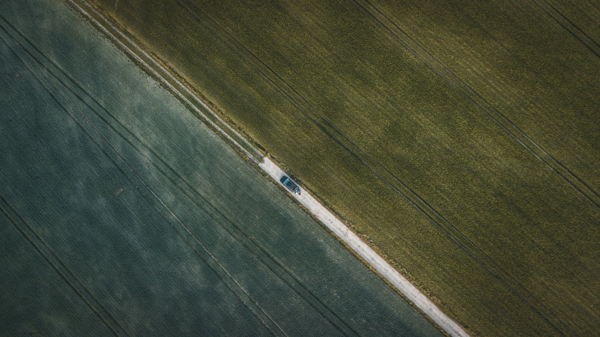 Drone Photography 1