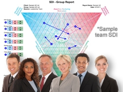 SDI preventing conflict in teams