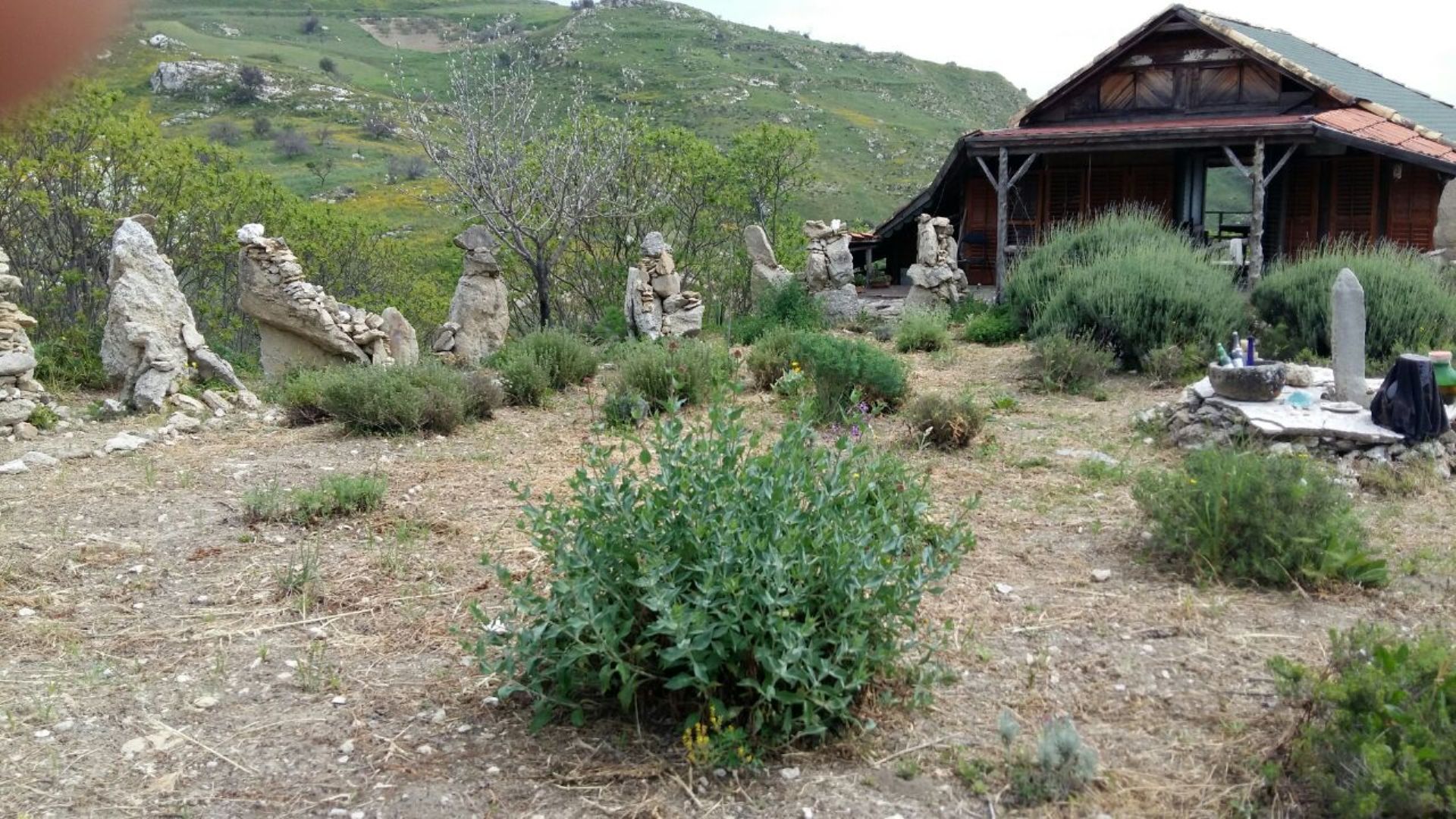 Azienda Agricola di Aldo Bongiovanni