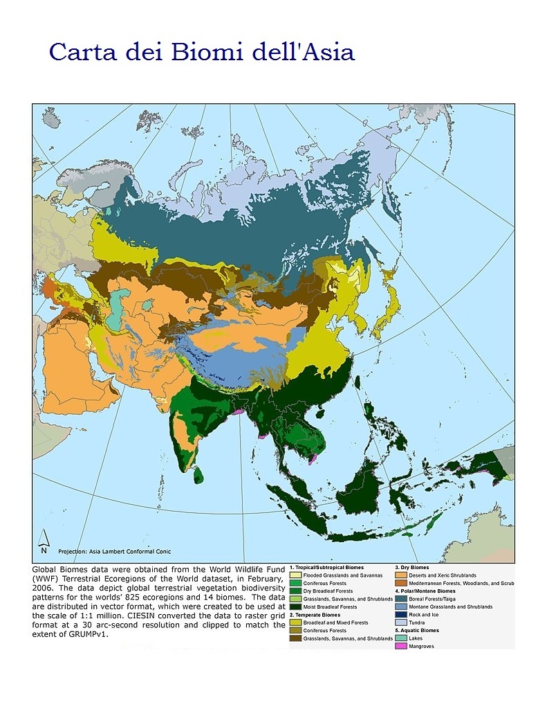 Bioma dell'Asia: ecoregioni e vegetazione del continente asiatico