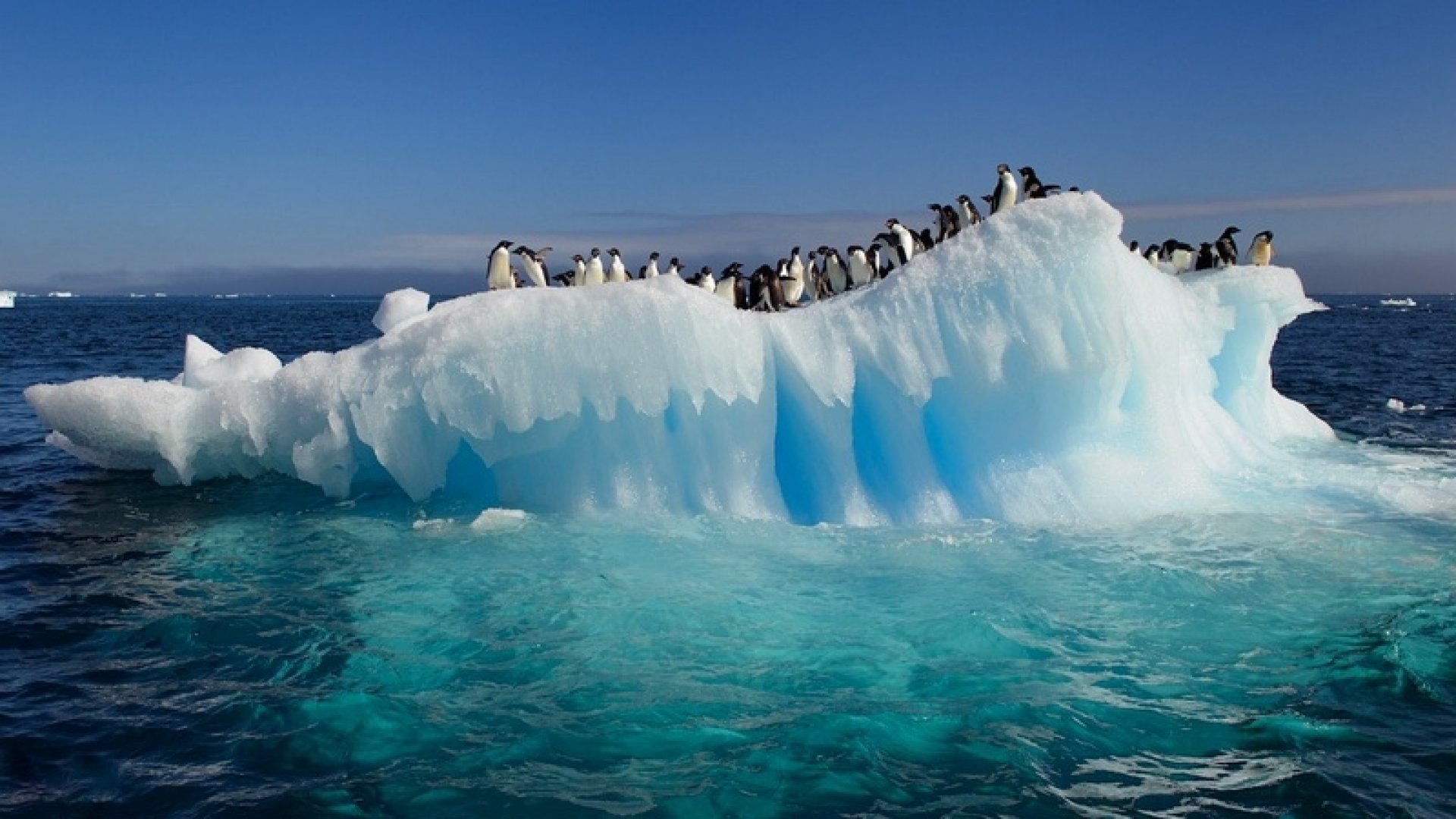 Mappa Politica del Continente Antartico