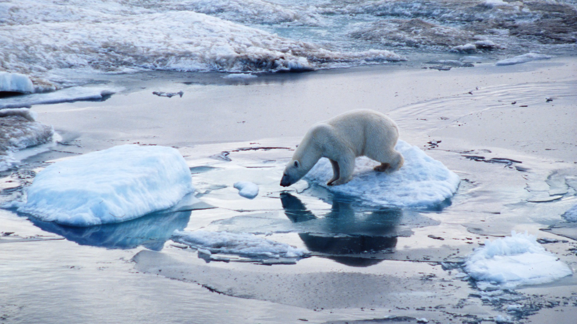 Riscaldamento Globale