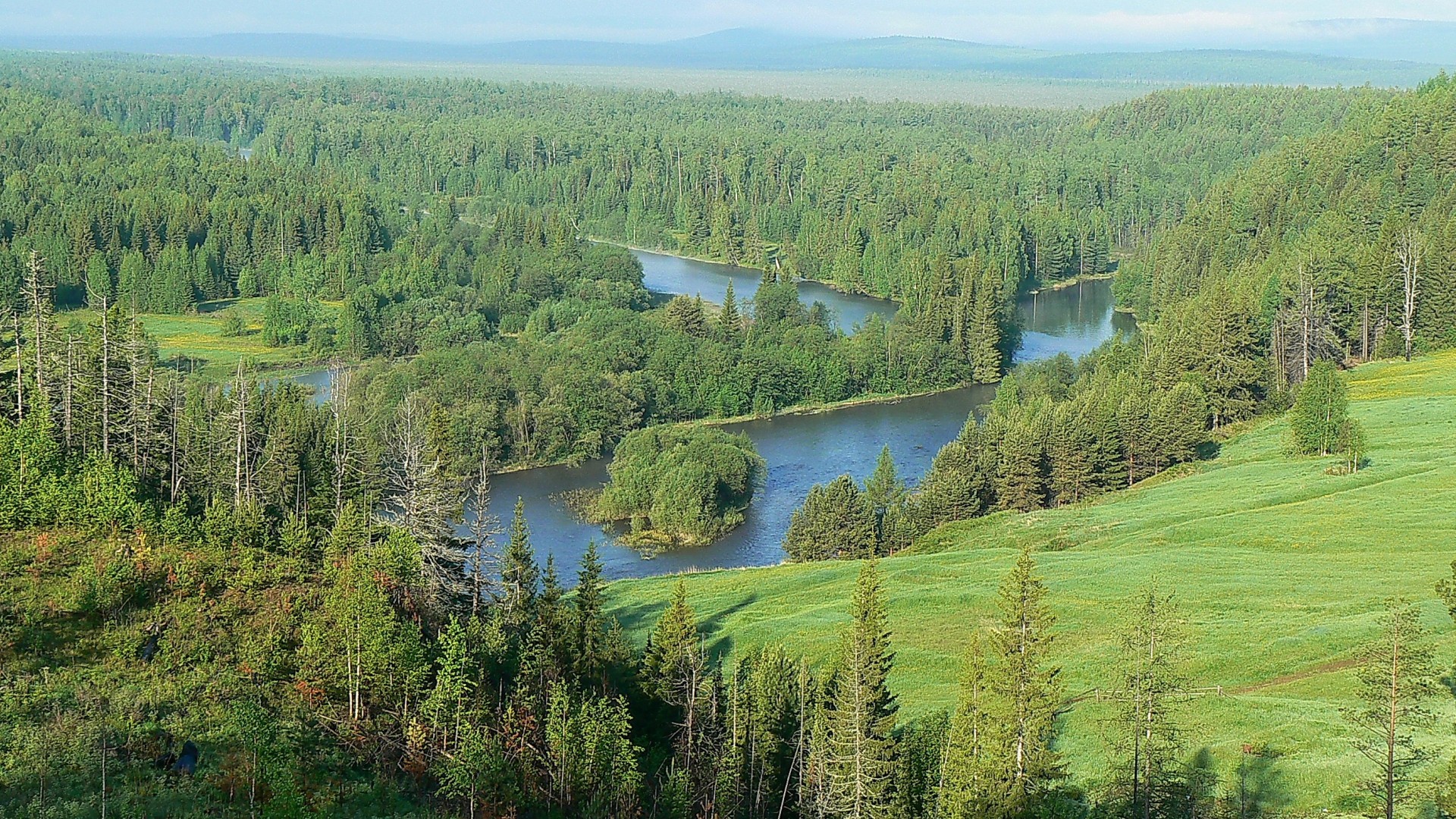 Taiga