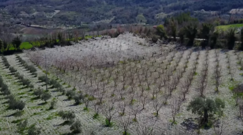 Società Agricola F.lli Perricone