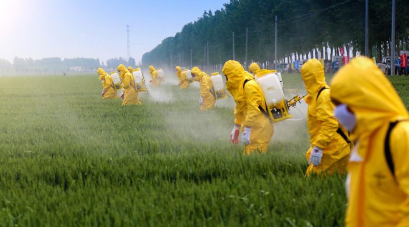 I Pesticidi