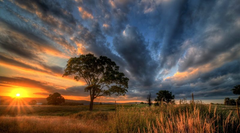 Una nuova speranza per l’Agricoltura