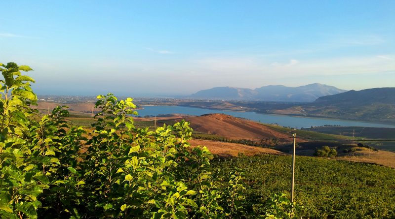 Azienda Agricola Laura Bargione