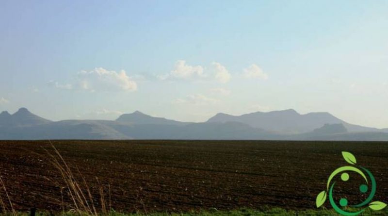 Come abbassare il pH del Terreno