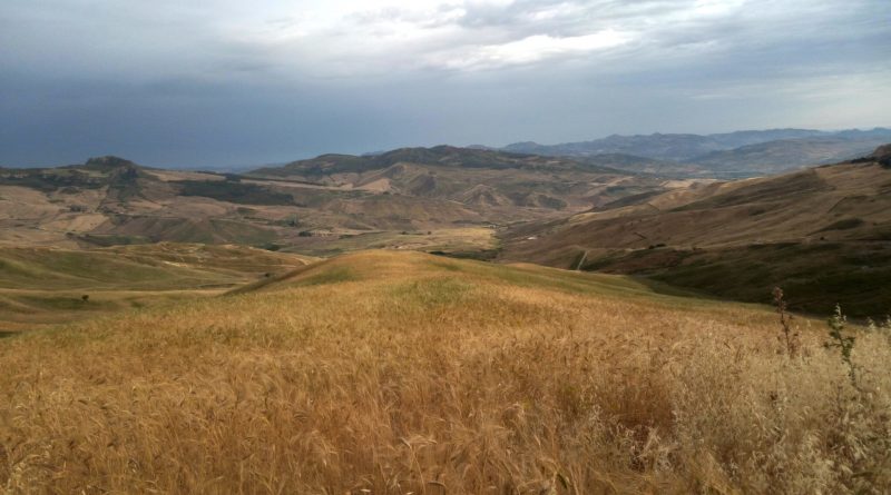 Azienda Agricola Giorgio Collura