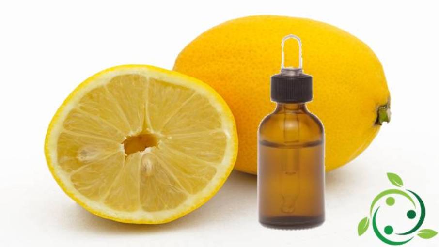 How to extract lemon essential oil in a simple way