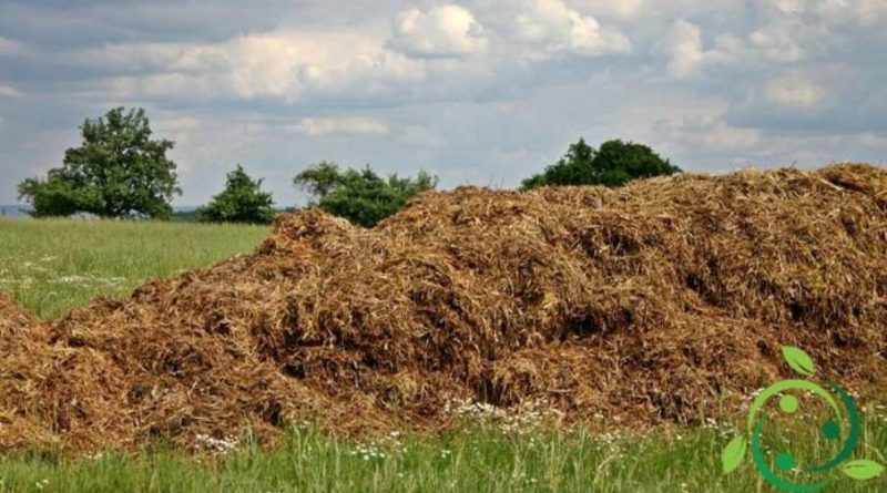 Letame, caratteristica e benefici per l’agricoltura biologica