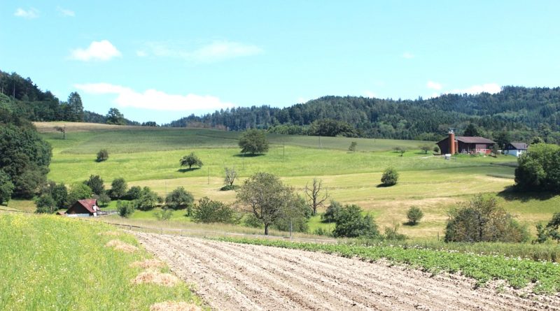 Riconvertire i Sistemi Agricoli