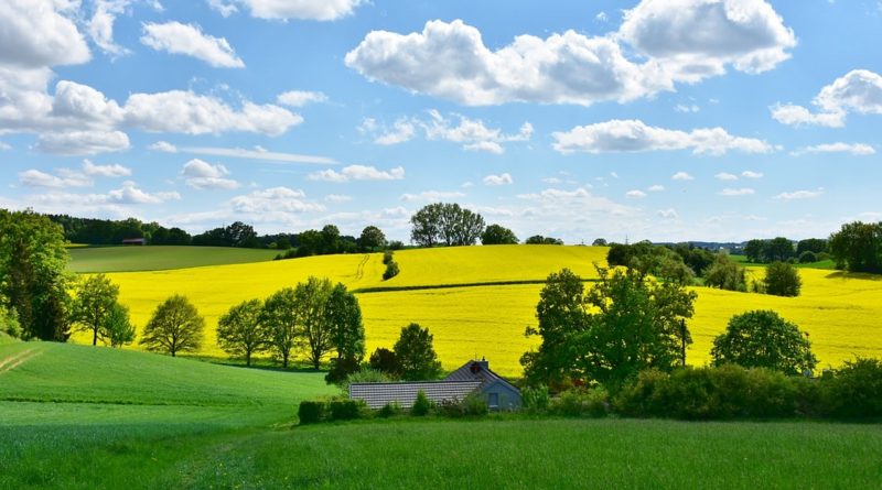 Come riequilibrare un sistema ecologico agricolo