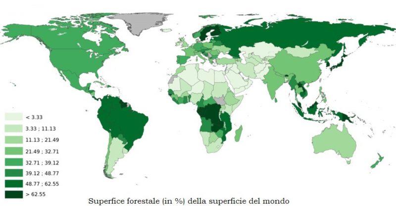 Foreste nel mondo