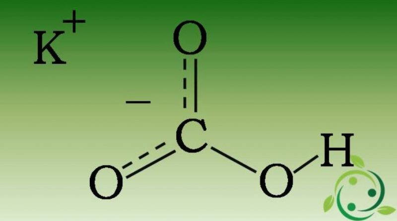 Bicarbonato di potassio come fungicida naturale