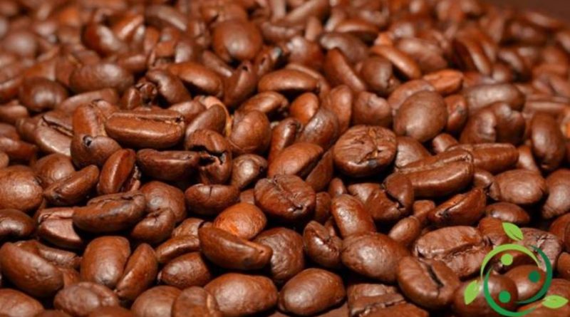 Insetticida naturale a base di caffeina