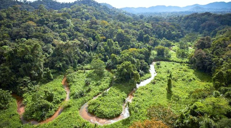 Riserva della biosfera del Río Plátano