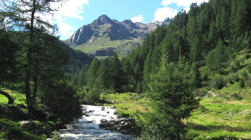 Parco nazionale del Gran Paradiso