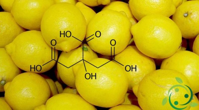 L'Acido citrico: presenza in natura e proprietà alimentari e