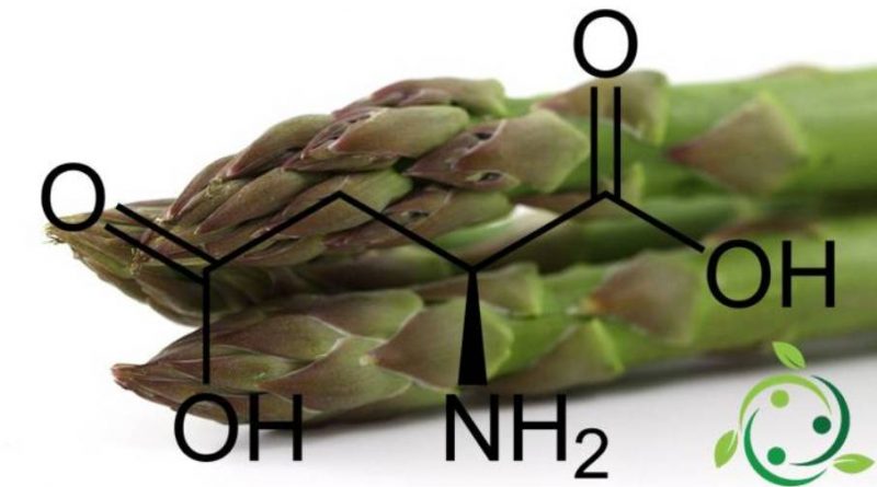 Acido aspartico
