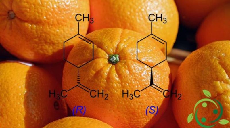 Insetticida naturale a base di limonene