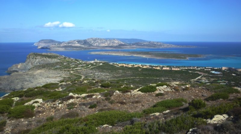 Parco nazionale dell’Asinara