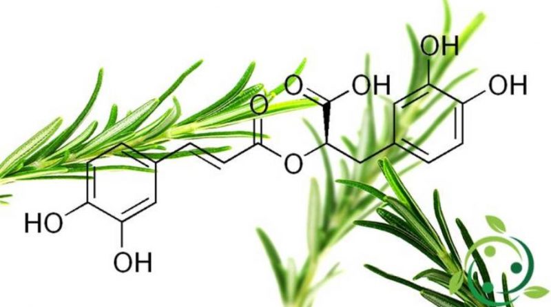 Acido Rosmarinico