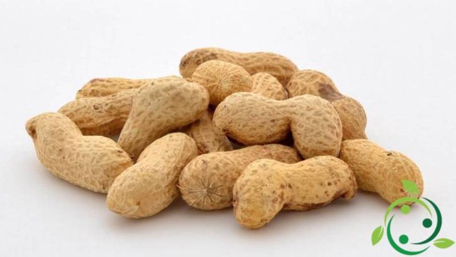 Peanut oil characteristics, extraction, uses, properties