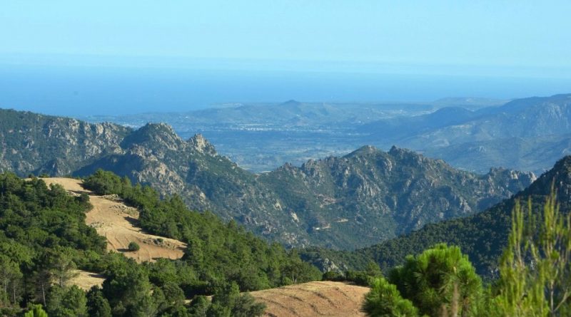 Parco nazionale del Golfo di Orosei e del Gennargentu