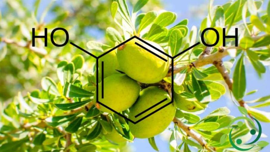 Resorcinol presencia en la naturaleza, síntesis, propiedades, usos