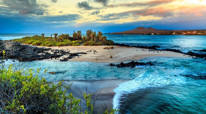 Parque Nacional Galápagos: paisaje, historia, flora, fauna