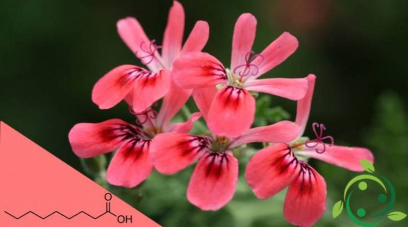 Acido pelargonico