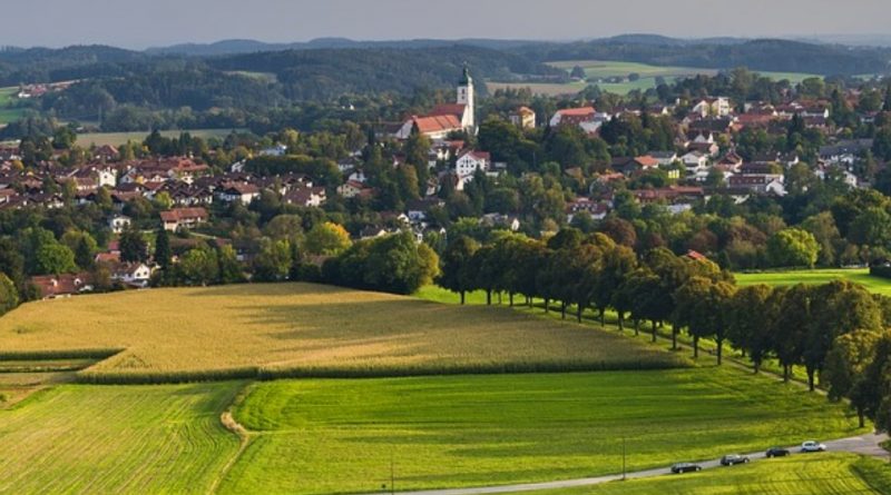 Alberi e vegetazione per le città del futuro