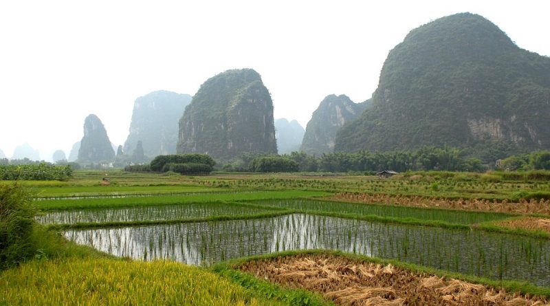 L’Agricoltura nella antica Cina – I parte