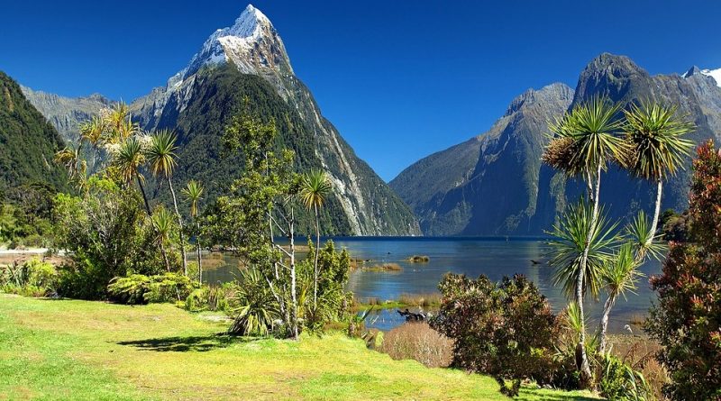 Parco nazionale del Fiordland