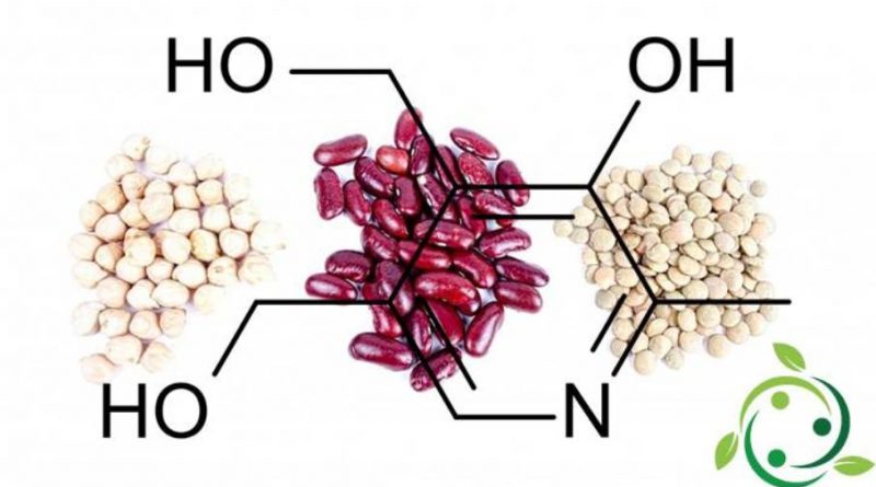 Piridossina Formula bruta, presenza negli alimenti, carenze