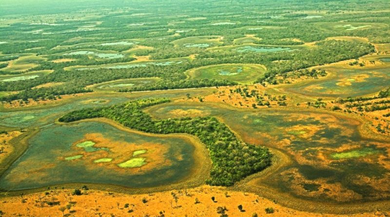 Pantanal