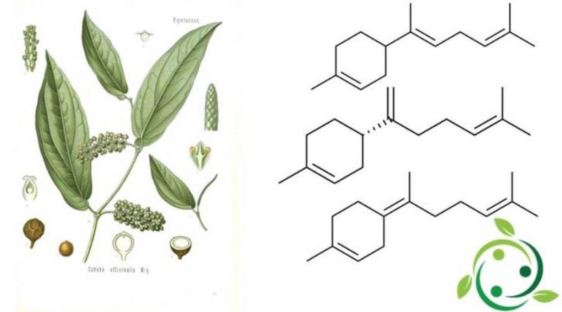 Bisabolene