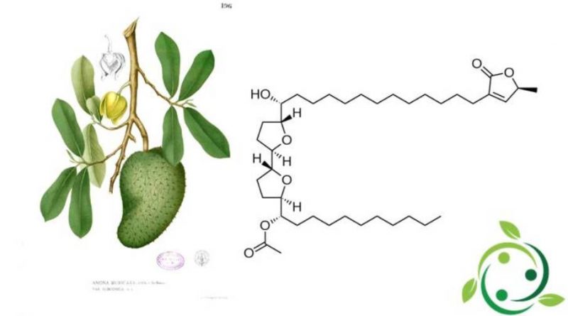 Acetogenina