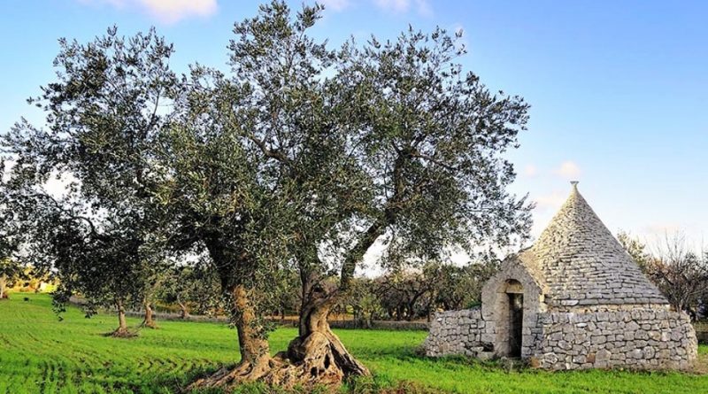 Antichi popoli pugliesi e l’agricoltura