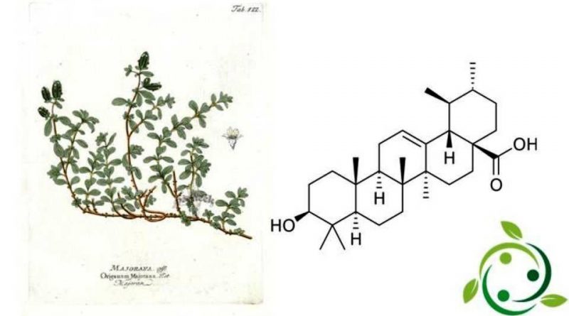 Acido ursolico