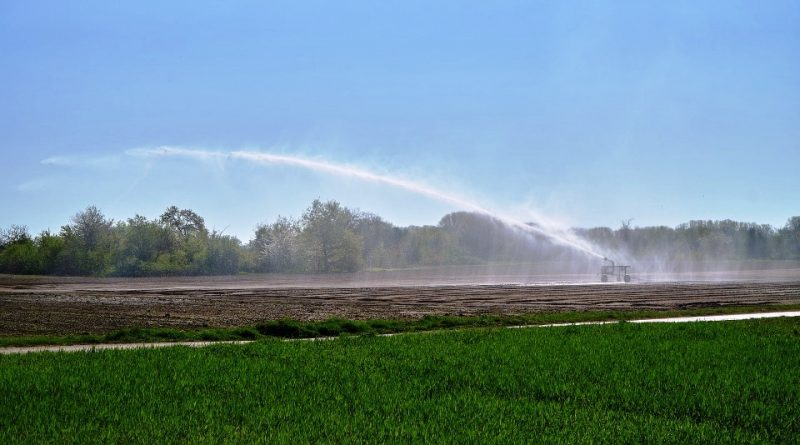Uso delle acque salmastre in agricoltura