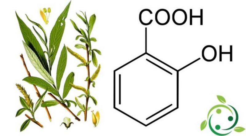 Salicylic acid: chemical formula, properties, occurrence in nature ...