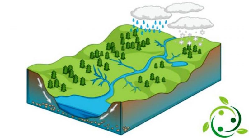 Cuenca hidrográfica: definición, características, tipologías...