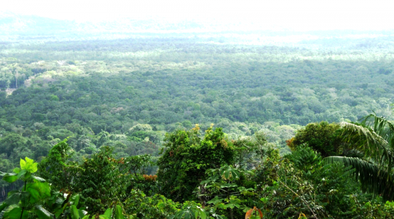 Parco amazzonico della Guyana francese
