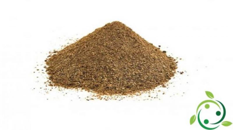 Garam masala