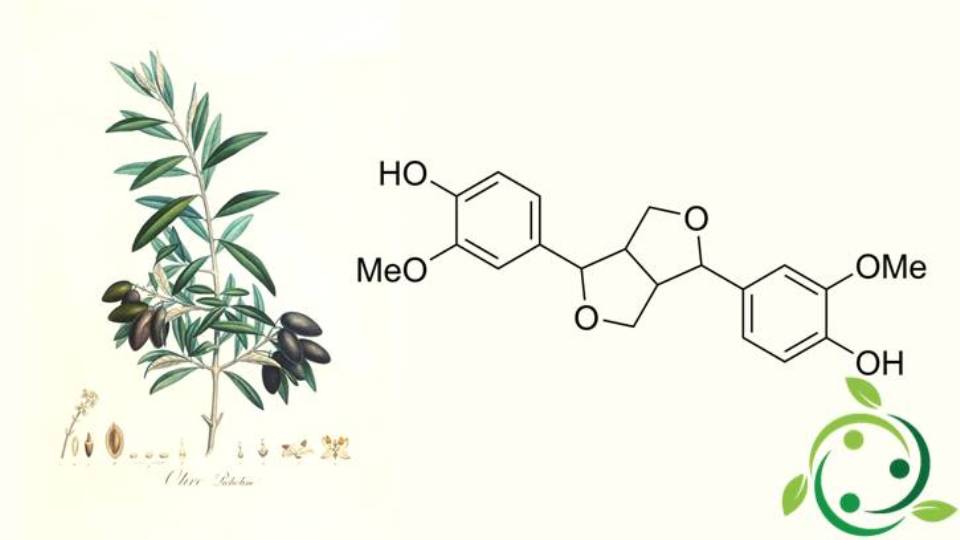 Pinoresinol fórmula química, propiedades, presencia en el aceite